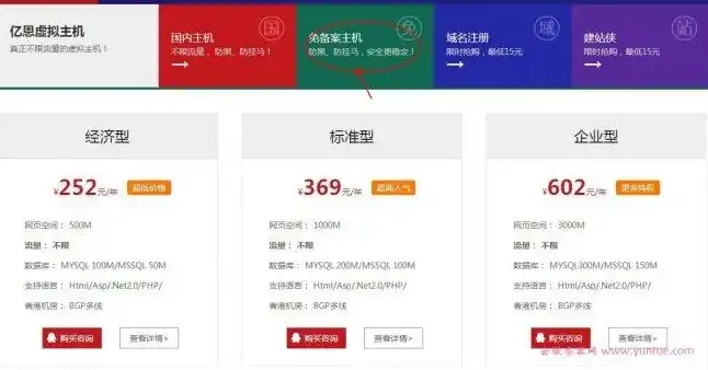 服务器虚拟主机租用多少钱，服务器虚拟主机租用价格解析，多维度比较与选择指南