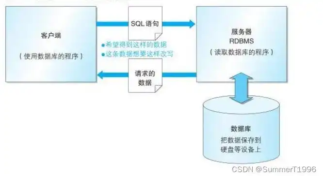 数据库服务器有哪些类型，数据库服务器类型详解，从传统到云原生，探索多样化选择