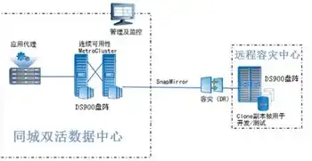 服务器镜像仿真，服务器镜像仿真技术在现代数据中心中的应用与发展