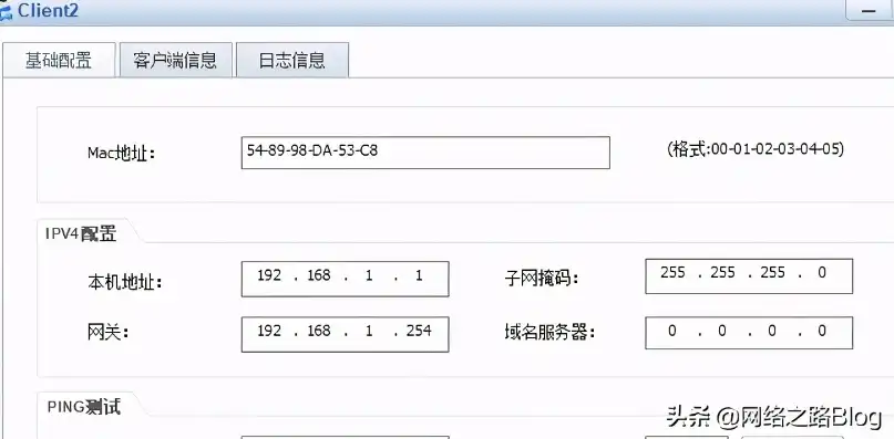 异速联客户端无法ping通服务器地址，深入解析异速联客户端无法连接服务器问题，原因排查与解决方案