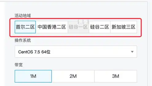 云服务器不备案可以用吗，云服务器不备案的用途及风险解析，深入了解云服务器的合规使用之道