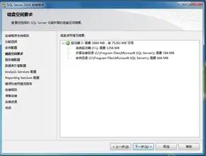 服务器windows server，深入解析Windows Server操作系统，功能、应用与优化策略