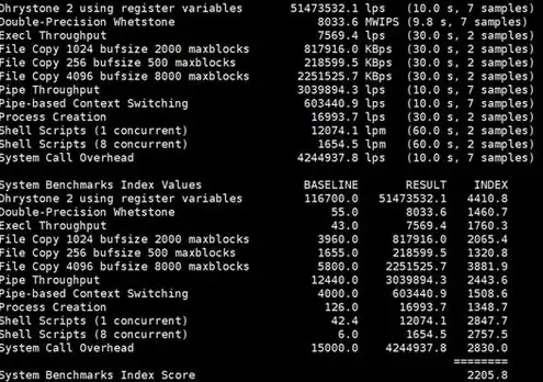 vps 云主机，VPS云主机租用攻略，全方位解析如何选择性价比最高的VPS云主机