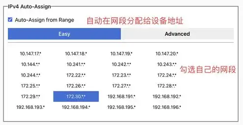 利用服务器内网穿透，打造个人服务器P2P内网穿透攻略，轻松实现局域网资源共享