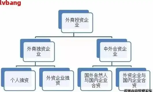 国外域名注册公司有风险吗，国外域名注册公司，风险与机遇并存，如何规避风险保障权益？