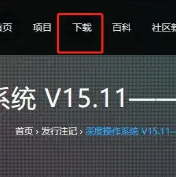 windows10虚拟机镜像下载，Windows 10虚拟机镜像纯净版下载指南，详细步骤与注意事项