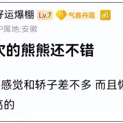 云服务器哪家好又便宜，深度解析，云服务器哪家公司最靠谱？性价比之王揭晓！