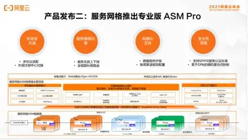 阿里云服务器能干啥，揭秘阿里云服务器，功能强大、应用广泛，助力企业数字化转型