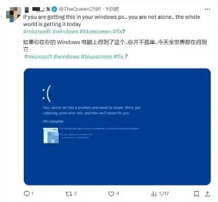 微软蓝屏全球宕机导致服务器崩溃怎么办，微软蓝屏全球宕机，揭秘事件原因及应对策略