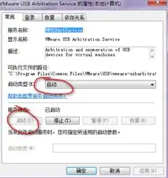 vmware虚拟机挂载u盘，深入解析VMware虚拟机挂载U盘的步骤与技巧