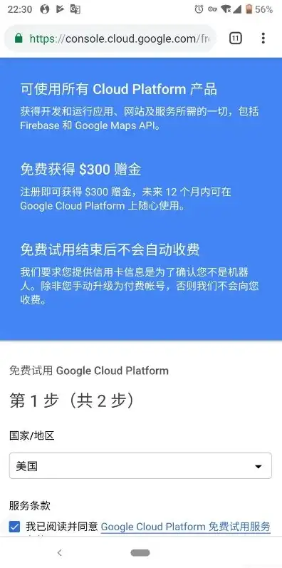 Google云服务器安装macos，Google云服务器安装macOS，详细步骤与经验分享