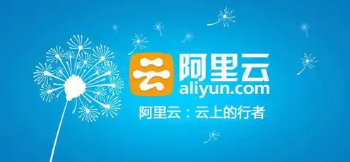 阿里云 注册域名，揭秘阿里云注册域名的优缺点，深入了解域名注册的便捷与风险