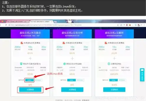 服务器域名购买方式，服务器域名购买攻略，详解各类购买方式及注意事项