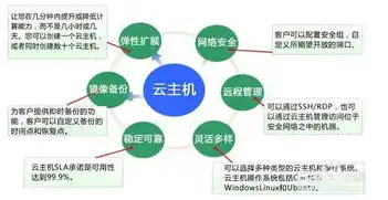 云主机的好处，云主机带来的革命性变革，效率、安全与成本的完美融合