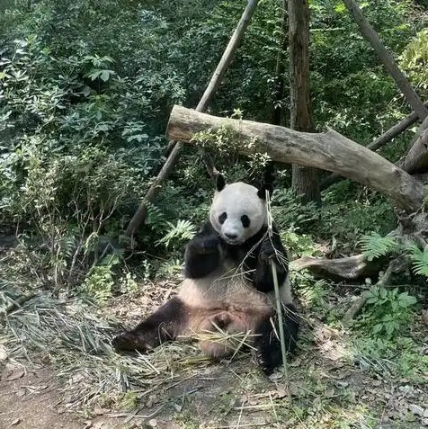 对象存储性能指标，深度剖析对象存储性能瓶颈，五大指标揭示速度慢之谜