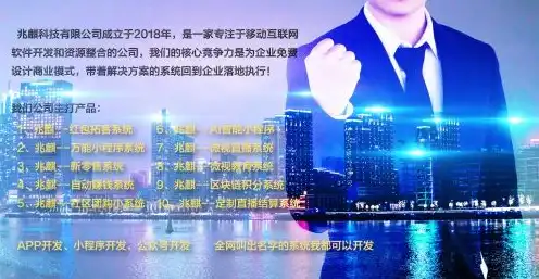 什么是云服务公司名称，云服务公司，引领未来商业变革的核心力量