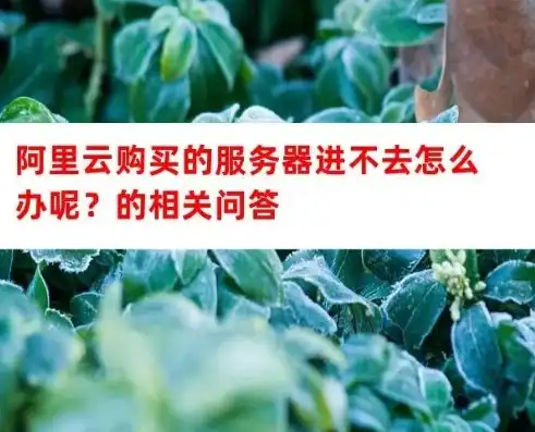 购买了阿里云服务器怎么使用不了网络，购买阿里云服务器无法使用网络？全方位排查解决攻略