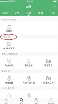 联通营业厅有域名注册服务吗为什么修改不了套餐，联通营业厅域名注册服务调整，为何修改套餐及影响分析