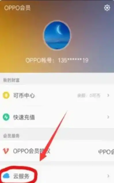 oppo帐号云服务登录，OPPO账号云服务登录攻略，全面解析登录方法及注意事项