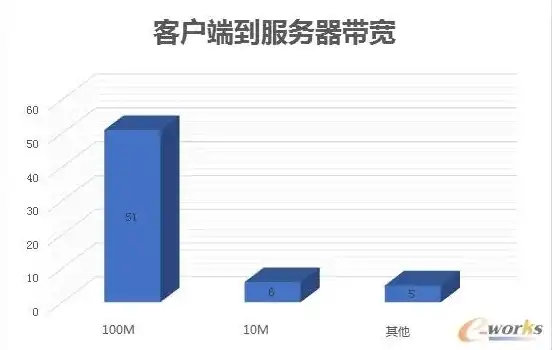 云服务器不含带宽是什么意思，云服务器不含带宽的含义及详解