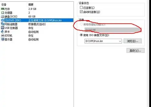 虚拟机的共享文件夹在哪里查看啊，深入解析，虚拟机共享文件夹位置查询与操作指南