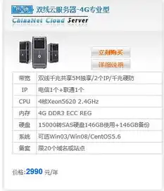 云服务器租赁费用多少钱合适，云服务器租赁费用揭秘，价格、配置与性价比全方位解析