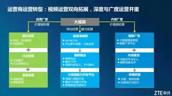 大屏播放服务器推荐，大屏播放服务器，助力企业数字化转型的得力助手