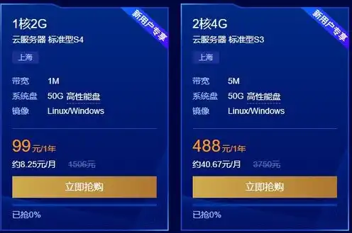 windows云服务器，Windows云服务器，全面解析其优势、应用与未来发展趋势