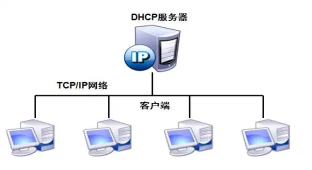 dhcp服务器有什么作用，DHCP服务器，构建高效网络的关键角色及其作用解析