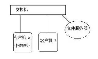 aws网络服务器，深入解析AWS内网域名服务器，构建高效稳定的网络架构