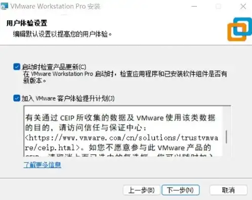 vmware虚拟机破解版下载，VMware虚拟机破解版下载教程，轻松实现免费使用VMware虚拟机功能