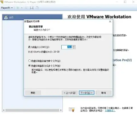 vmware虚拟机破解版下载，VMware虚拟机破解版下载教程，轻松实现免费使用VMware虚拟机功能