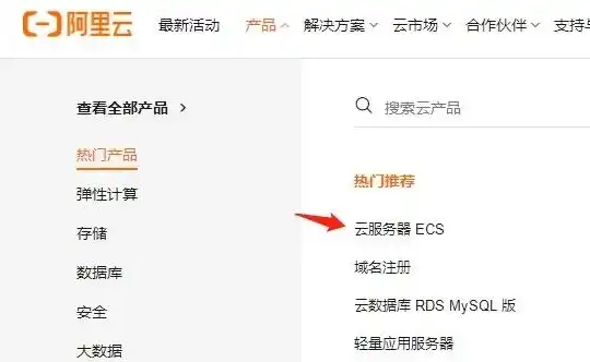 阿里云国际服务器官网，阿里云国际版服务器建站全攻略，高效、稳定、安全的云端之旅