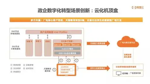 轻量云服务器缺点，揭秘轻量云服务器的弊端，选择之前你必须了解的真相