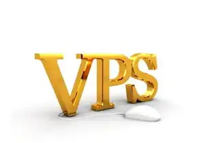 vps主机什么意思啊，深入解析VPS主机，定义、优势、选择与应用