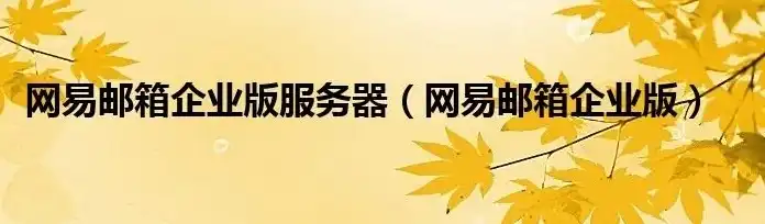 网易企业邮箱服务器设置，网易企业邮箱服务器设置详解，高效、稳定、安全的邮件服务