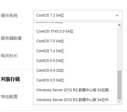 购买云服务器选哪个系统比较好，选购云服务器系统攻略，深入解析不同操作系统的优劣势，助您做出明智选择！