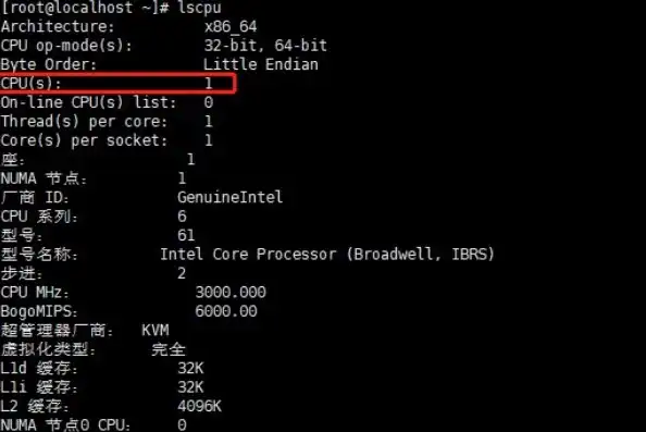 kvm查看虚拟机cpu内存信息，KVM虚拟机CPU内存信息查看详解及实用技巧