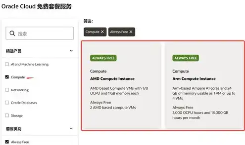 Oracle云服务器注册，Oracle云服务器注册指南，轻松开启高效云计算之旅