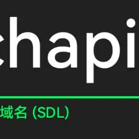 国外cn域名注册，详解国外CN域名注册流程及注意事项