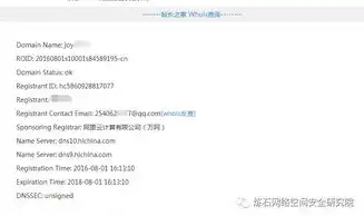 怎么查域名注册者的信息呢，揭秘域名注册者信息查询，掌握网络隐私，维护网络安全