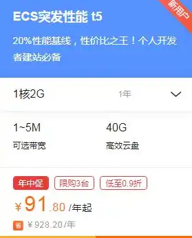 阿里云游戏服务器多少钱一个月，阿里云游戏服务器性价比分析，月租费用一览及详细解读