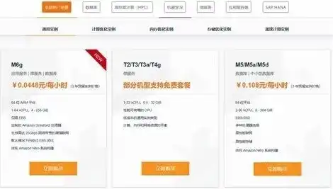 租亚马逊服务器怎么租，亚马逊服务器租赁全攻略，租用流程、优势与注意事项详解