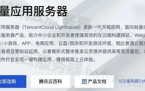 轻量应用服务器使用教程下载，轻松掌握轻量应用服务器，从下载到部署全攻略