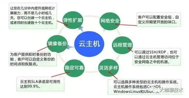 云主机 租用，深入解析云主机租用，如何选择合适的服务器，实现高效稳定运行