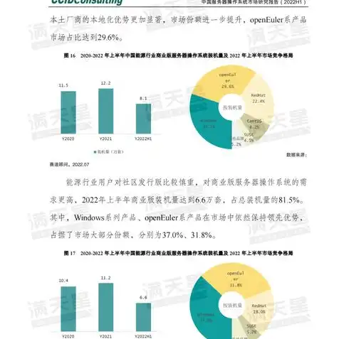 服务器操作系统有哪些?分别有什么特点?，服务器操作系统大盘点，详解不同系统的特点与优势