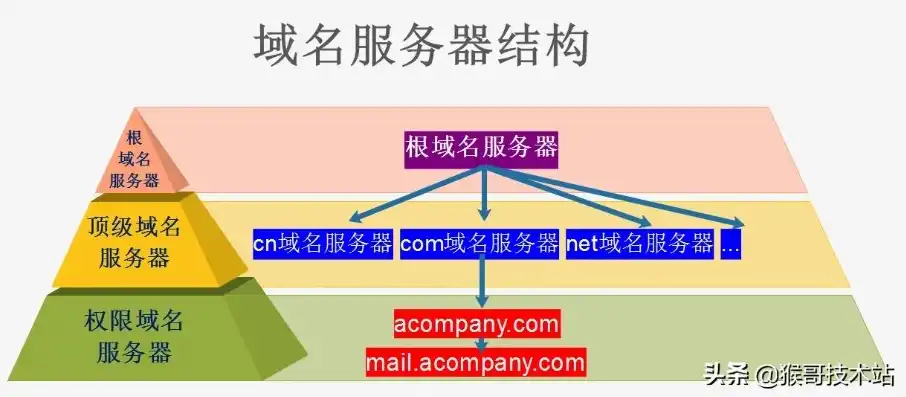 域名怎么解析到服务器中，深入解析，域名如何解析到服务器——揭秘域名解析全过程