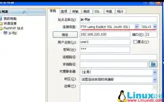 linux搭建FTP服务器，Linux环境下搭建FTP服务器，从入门到精通