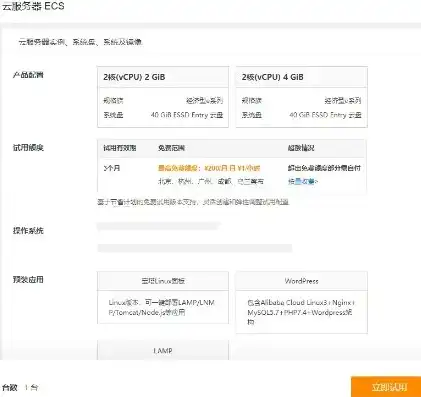 阿里云服务器最便宜的是哪一款，揭秘阿里云服务器性价比之王，最便宜的ECS实例详解及选购指南