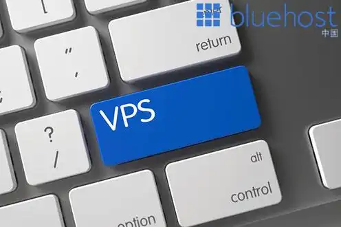 vps主机的优缺点，VPS主机选择指南，深入了解其优缺点，助您明智决策